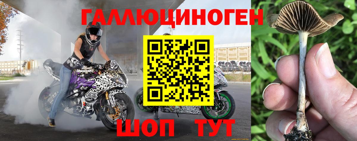 Галлюциногенные грибы ЛСД Чебоксары